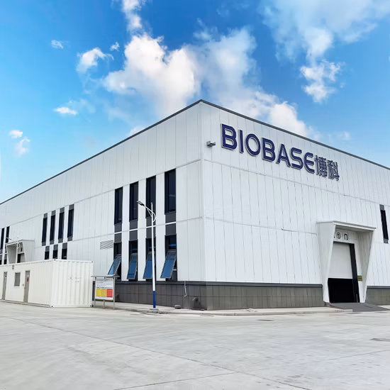 Biobase China Factory Laboratory Xw006 アクセサリー機器ボルテックスミキサー用